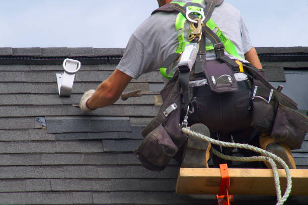 Best Storm Damage Roof Repair  in Norwood, NJ